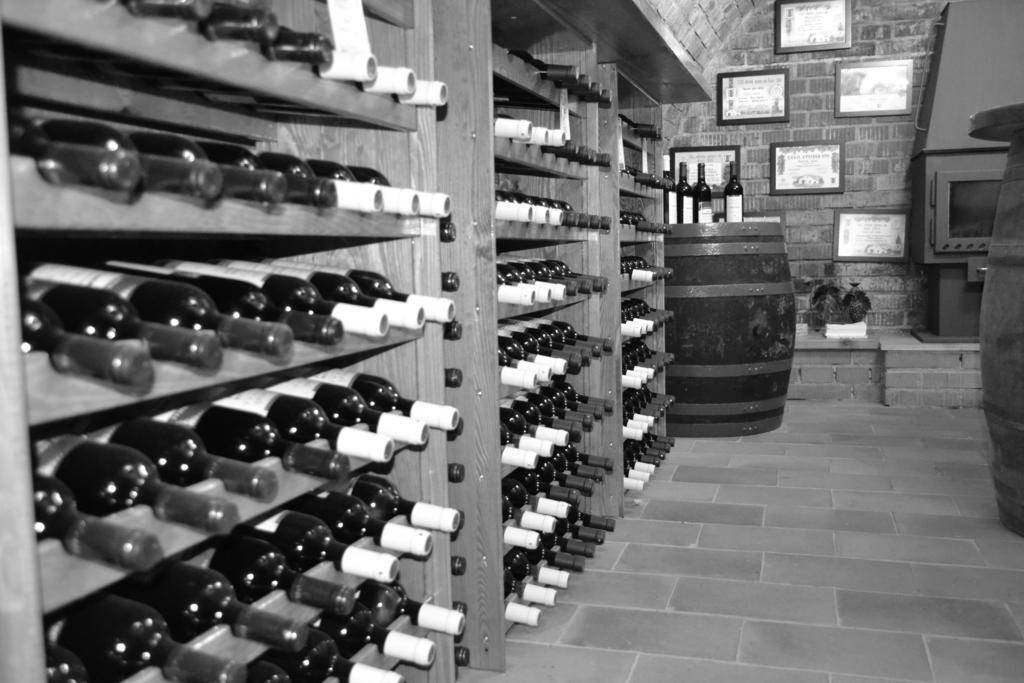 Velke Nemcice 藤院旅馆酒店 外观 照片